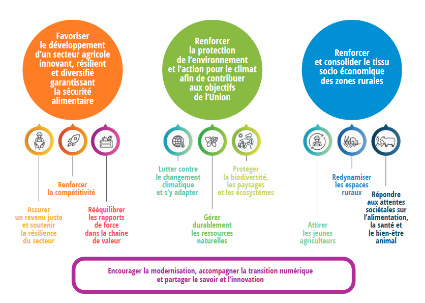Cf description textuelle sous l'image