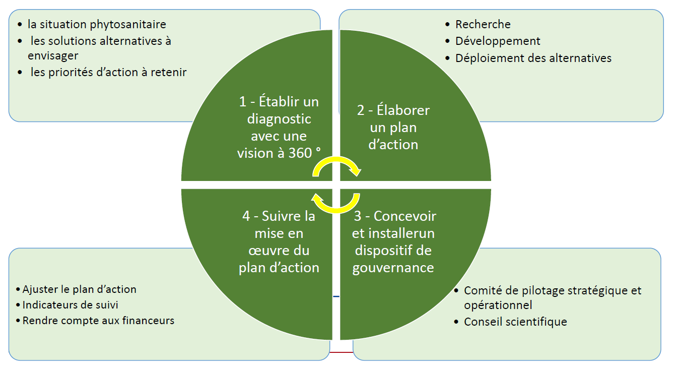 Visuel expliquant les différentes phase du Plan d’action stratégique pour l’anticipation du potentiel retrait européen des substances actives et le développement de techniques alternatives pour la protection des cultures (PARSADA).