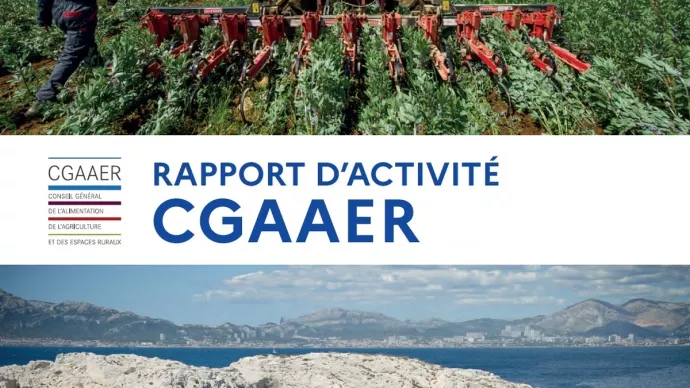 rapport d'activité du CGAAER